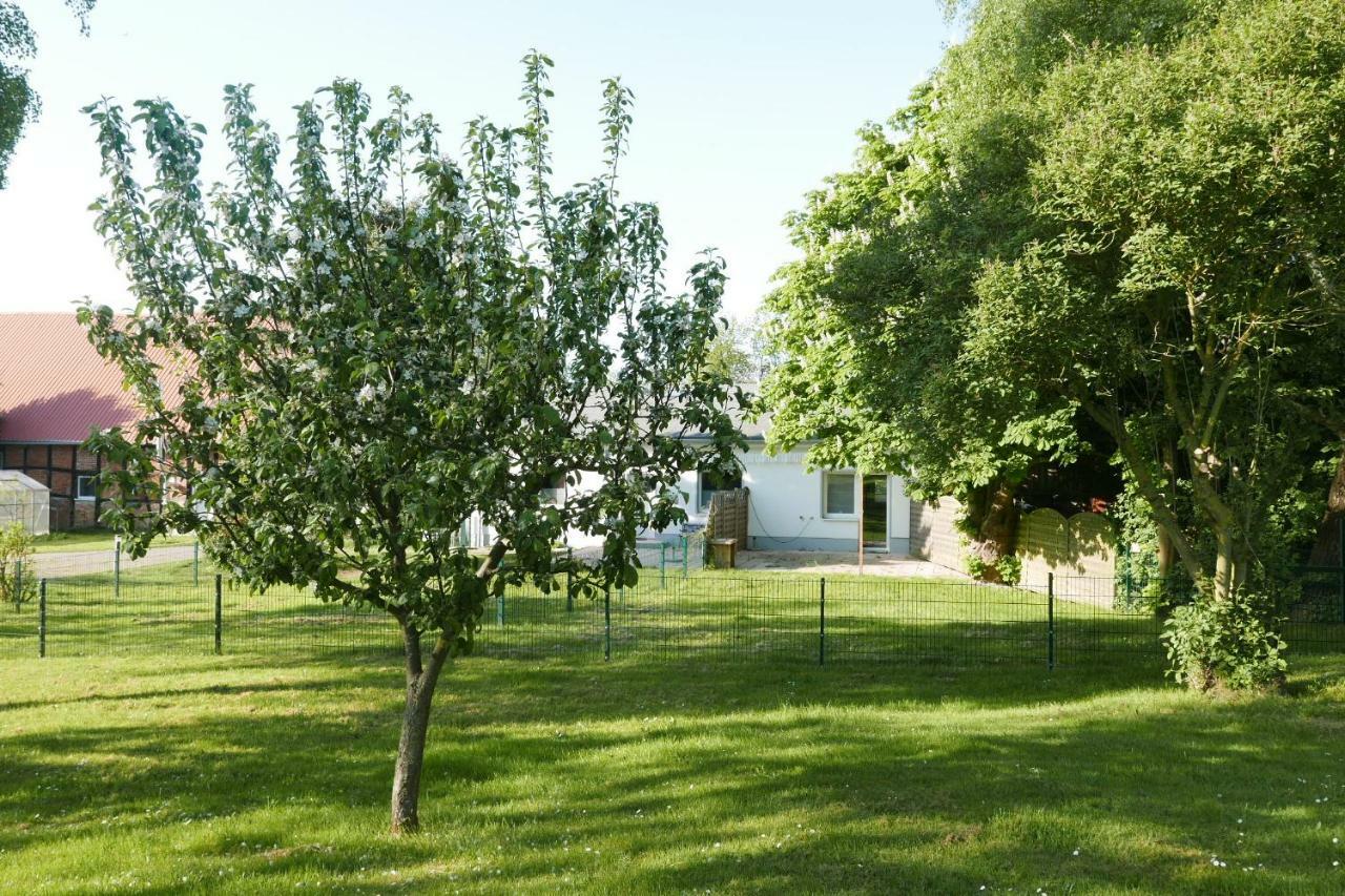 Ferienhaus - 135 Qm - Naehe Insel Poel Ostsee Damekow Экстерьер фото